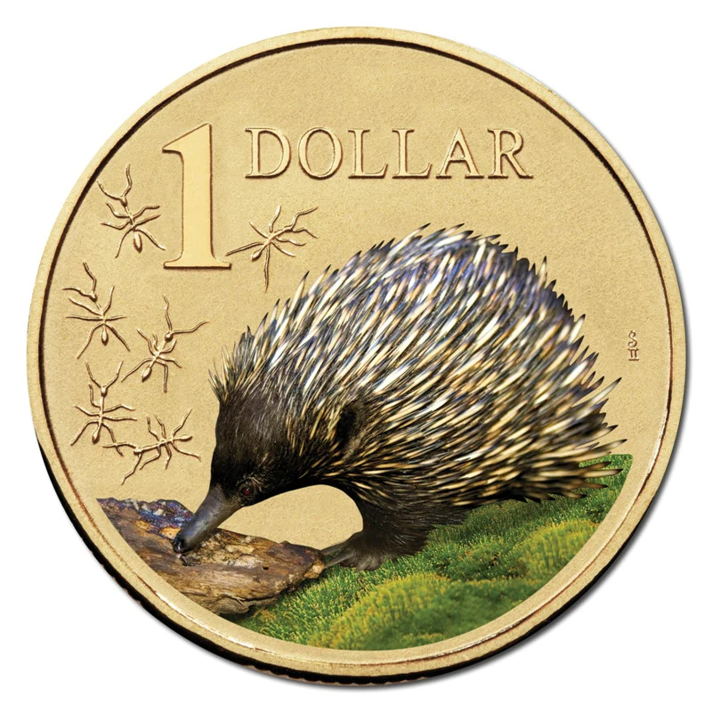 2008 $1 Land Series - Echidna