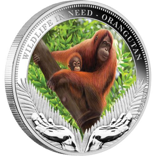 2011 Orangutan 1oz Silver Proof Coin