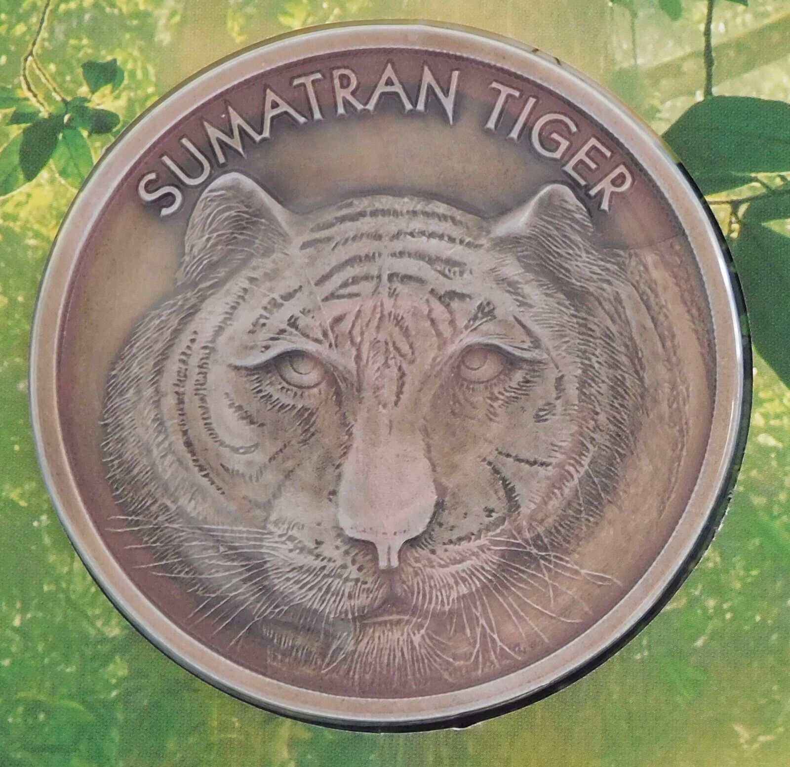 2012 150 Years Melbourne Zoo - Sumatran Tiger Medallion PNC
