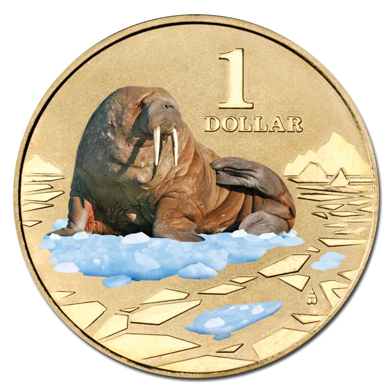 2013 $1 Polar Series - Walrus