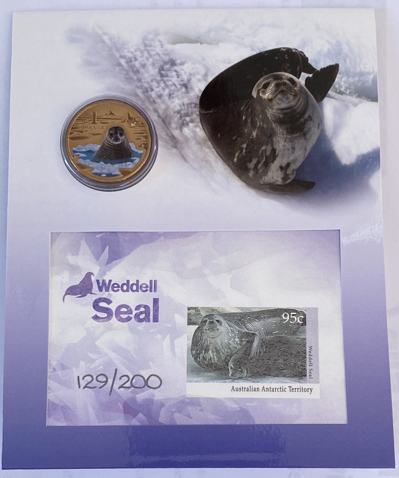 2013 Limited Edition Weddell Seal