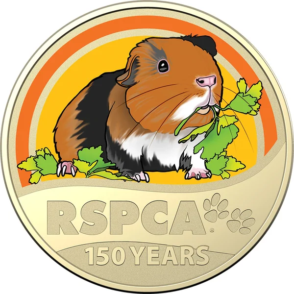 2021 $1 150th Anniversary of the RSPCA - Guinea Pig Pocket Collector Card