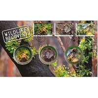 2020 Wildlife Recovery - Three Medallions in PNC