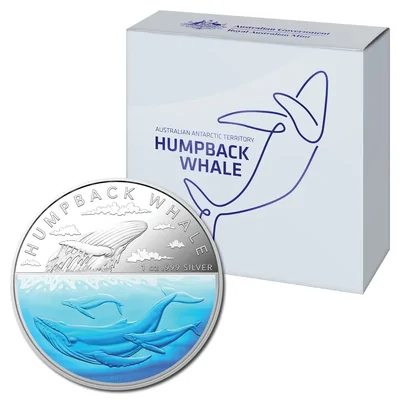 2023 1oz Silver - Australian Antarctic Territory Humpback Whale Coloured Coin in Box