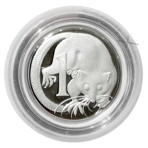 1991 1c Sterling Silver Proof Coin in Capsule