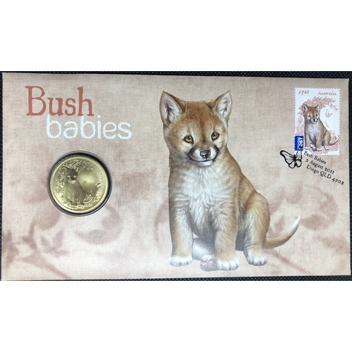 2011 PNC Bush Babies Dingo 