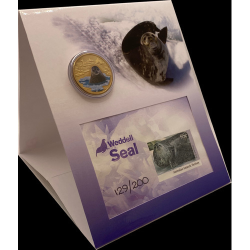 2013 Limited Edition Weddell Seal